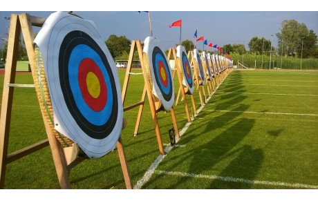 FFTA - Division Régionale